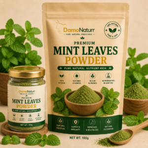Mint Leaves Powder